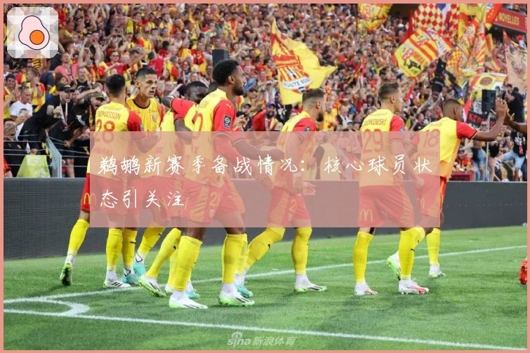 鹈鹕新赛季备战情况：核心球员状态引关注